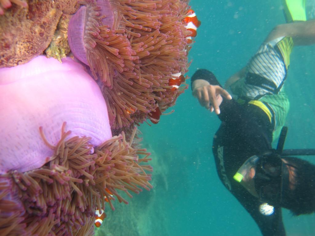 Ombak Dive Resort Perhentian Island Pulau Perhentian Kecil Экстерьер фото
